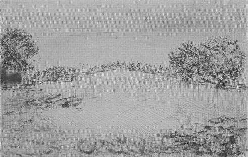Innevata